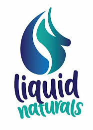 LN LIQUID NATURALS logo