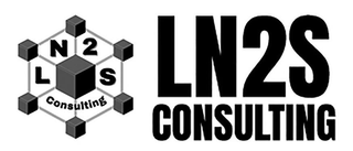 LN2S CONSULTING logo