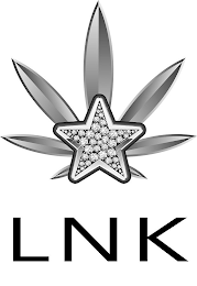 LNK logo