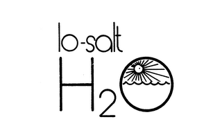 LO-SALT H2O logo