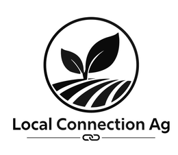 LOCAL CONNECTION AG logo