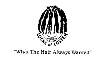 LOCKS OF LUSTER "WHAT THE HAIR ALWAYS WANTED" logo