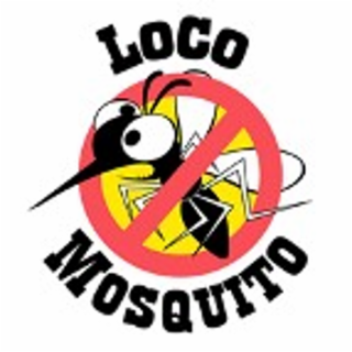 LOCO MOSQUITO