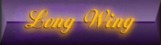 LONG WING logo