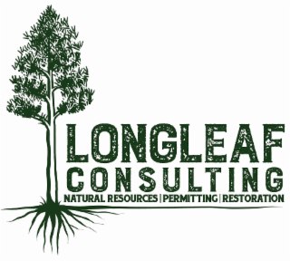 LONGLEAF CONSULTING NATURAL RESOURCES PERMITTING RESTORATION logo