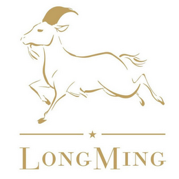 LONGMING logo