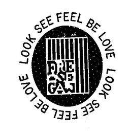 LOOK SEE FEEL BE LOVE FRED SEGAL