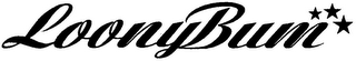 LOONYBUM logo
