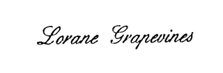LORANE GRAPEVINES logo
