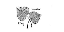 L'ORIGAN DE COTY logo