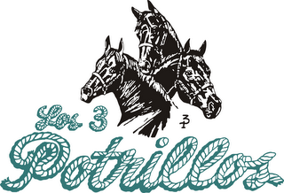 LOS 3 POTRILLOS 3P logo