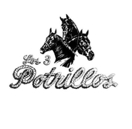 LOS 3 POTRILLOS logo