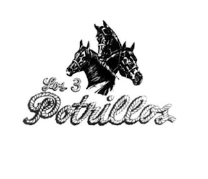 LOS 3 POTRILLOS logo