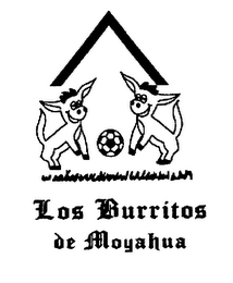 LOS BURRITOS DE MOYAHUA