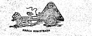 LOS LEONES MARCA REGISTRADA logo
