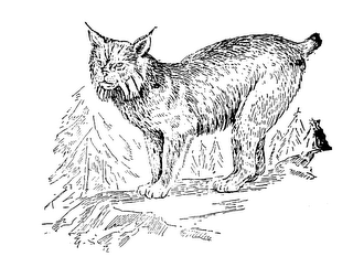 LOS LINCES DEL NORTE logo