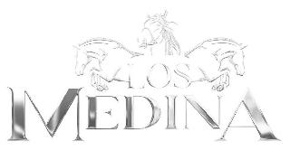 LOS MEDINA logo