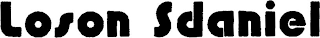 LOSON SDANIEL logo