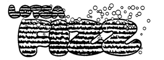 LOTSA FIZZ logo