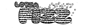 LOTSA FIZZ logo