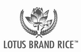 LOTUS BRAND RICE logo