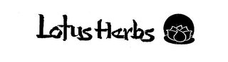 LOTUS HERBS logo
