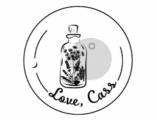 LOVE, CASS logo