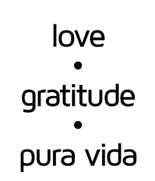 LOVE GRATITUDE PURA VIDA logo