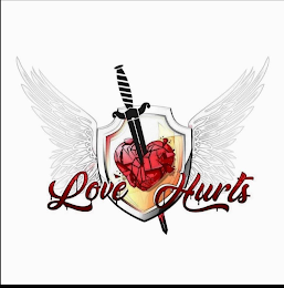 LOVE HURTS logo