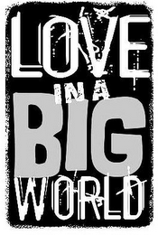 LOVE IN A BIG WORLD logo