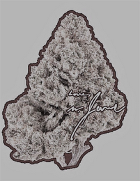 LOVE, M. JANE logo