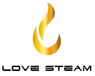 LOVE STEAM logo