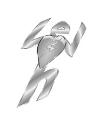 LOVEISH logo