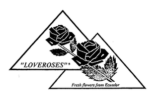 "LOVEROSES" FRESH FLOWERS FROM ECUADOR logo