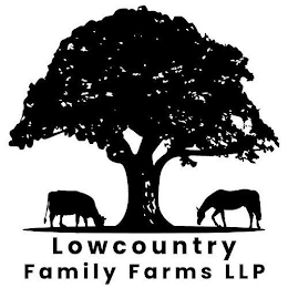 LOWCOUNTRY FAMILY FARMS LLP logo
