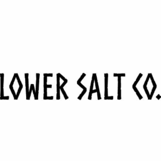 LOWER SALT CO. logo