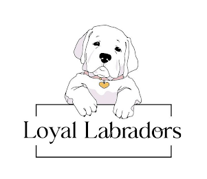 LOYAL LABRADORS logo