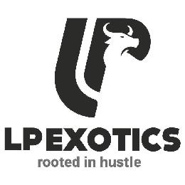 LP LP EXOTICS ROOTED IN HUSTLE logo