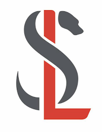 LS logo