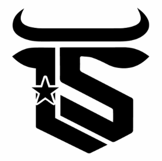 LS logo