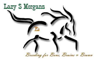 LS LAZY S MORGANS BREEDING FOR BONE, BRAINS & BRAWN logo