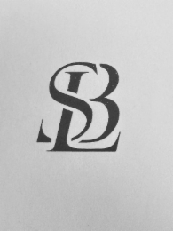 LSB logo