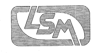 LSM logo