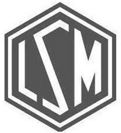 LSM logo
