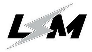 LSM logo