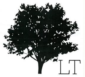 LT logo
