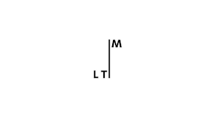 LTM logo