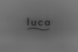 LUCA logo