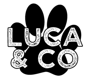 LUCA & CO logo