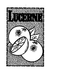 LUCERNE logo